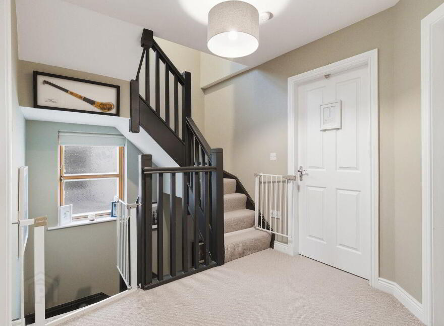 51 Whitethorn, Athgarvan, Athgarvan, W12PK24