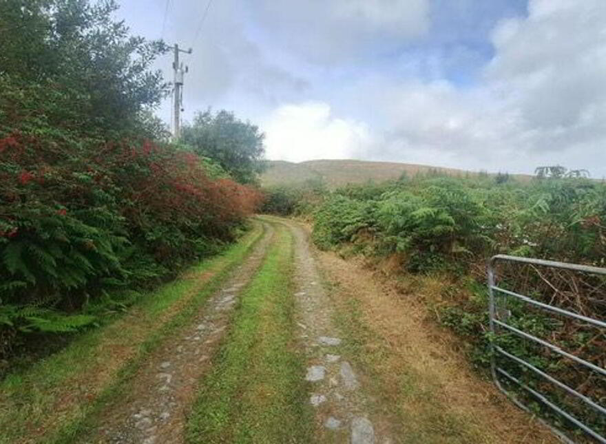 Coomfarna, Dunbeacon, Durrus, P75Y186
