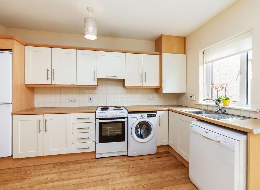 59 Boroimhe Alder, Boroimhe, Swords, K67AX81