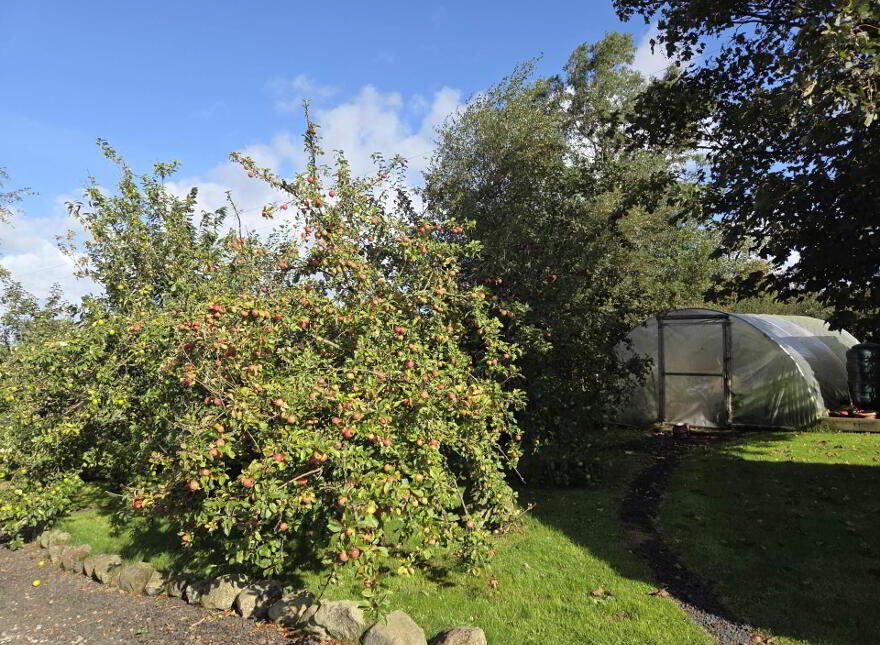 147 Ballinlea Road, Stranocum, Ballymoney, BT53 8PX