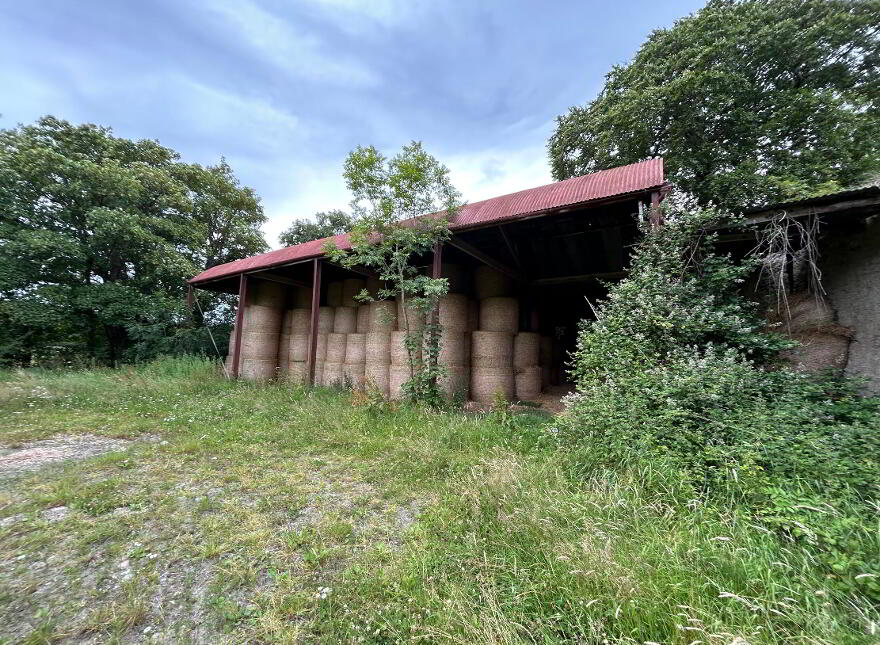 Compsey Mill, Mullinoly, Mullinahone, E41DP79