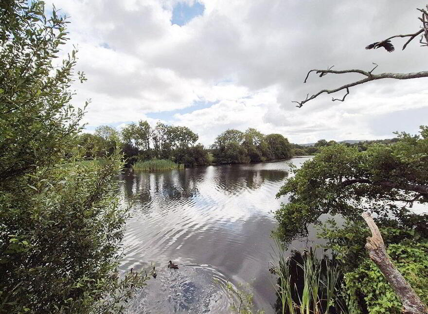 Chapel Street, Dunmanway, P47TY80