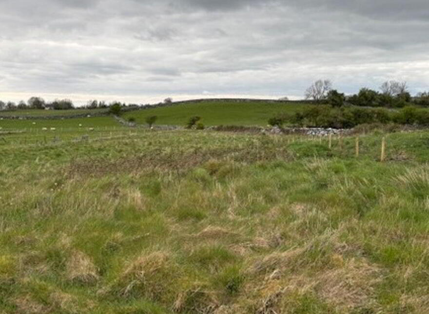 Ower, Headford photo
