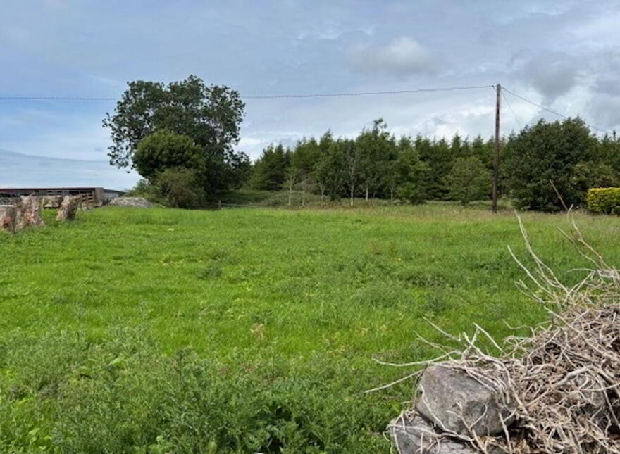 Cloonascragh, Belclare photo