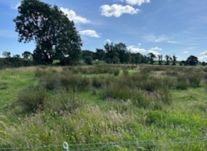 Cottage, Barnaderg photo