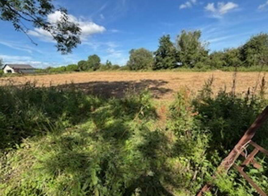 Forty Acres, Barnaderg photo