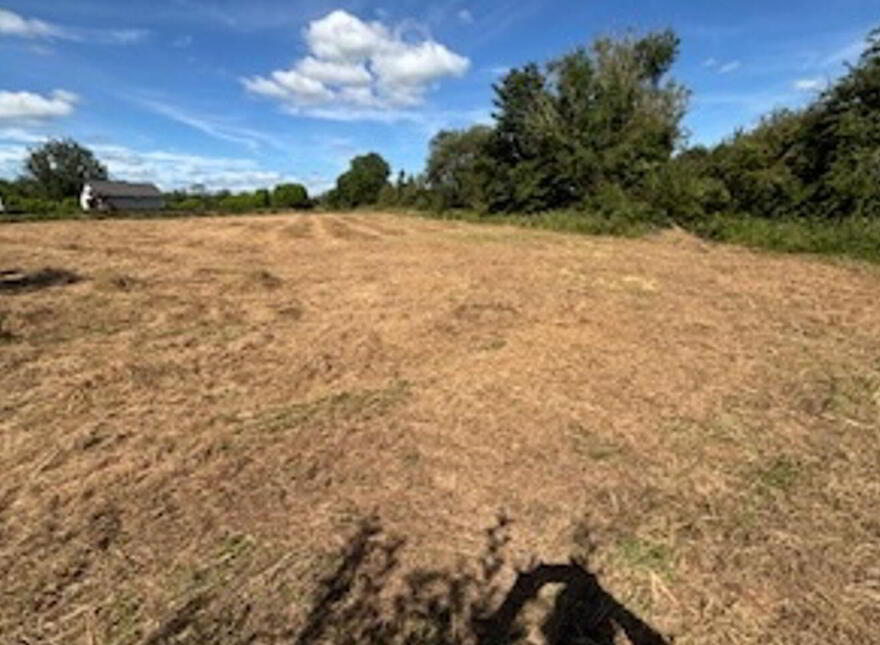 Forty Acres, Barnaderg