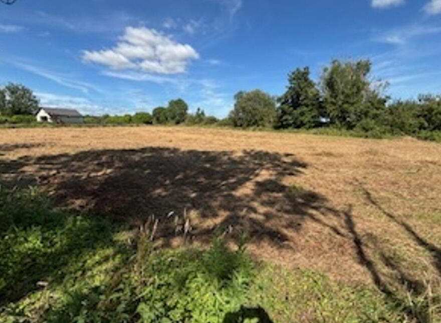 Forty Acres, Barnaderg