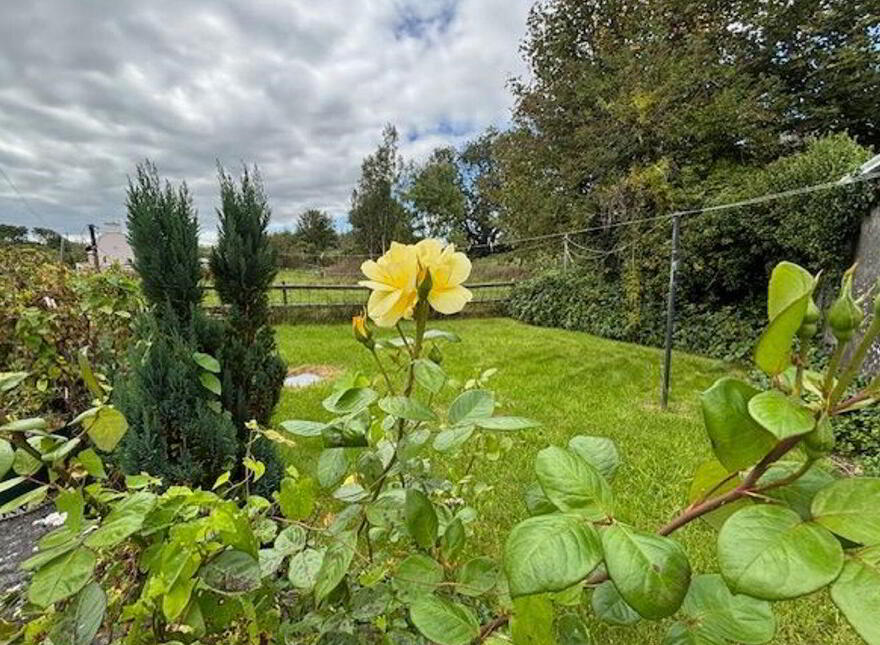 Cloonascragh, Belclare, Caherlistrane, H54RK38