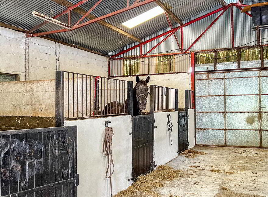 Kilgreaney Stables, Kilgreaney, Bagenalstown, R21W668