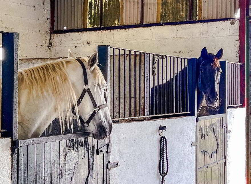 Kilgreaney Stables, Kilgreaney, Bagenalstown, R21W668