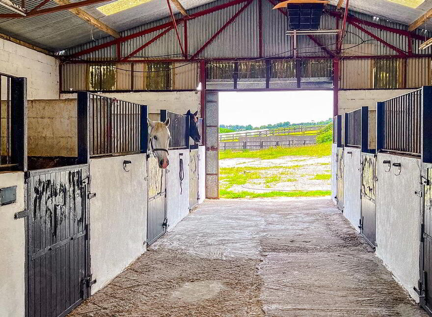 Kilgreaney Stables, Kilgreaney, Bagenalstown, R21W668