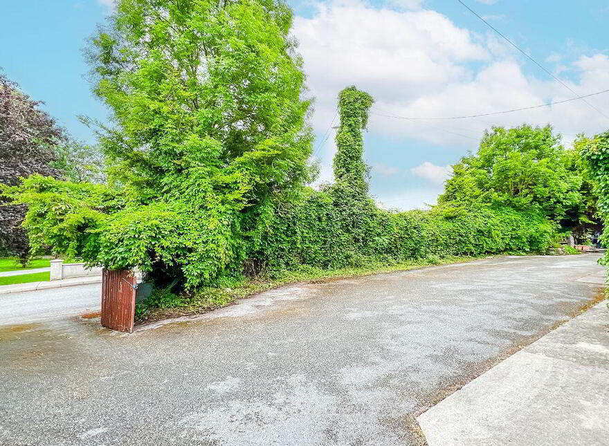 Lawcus, Stoneyford, R95V303