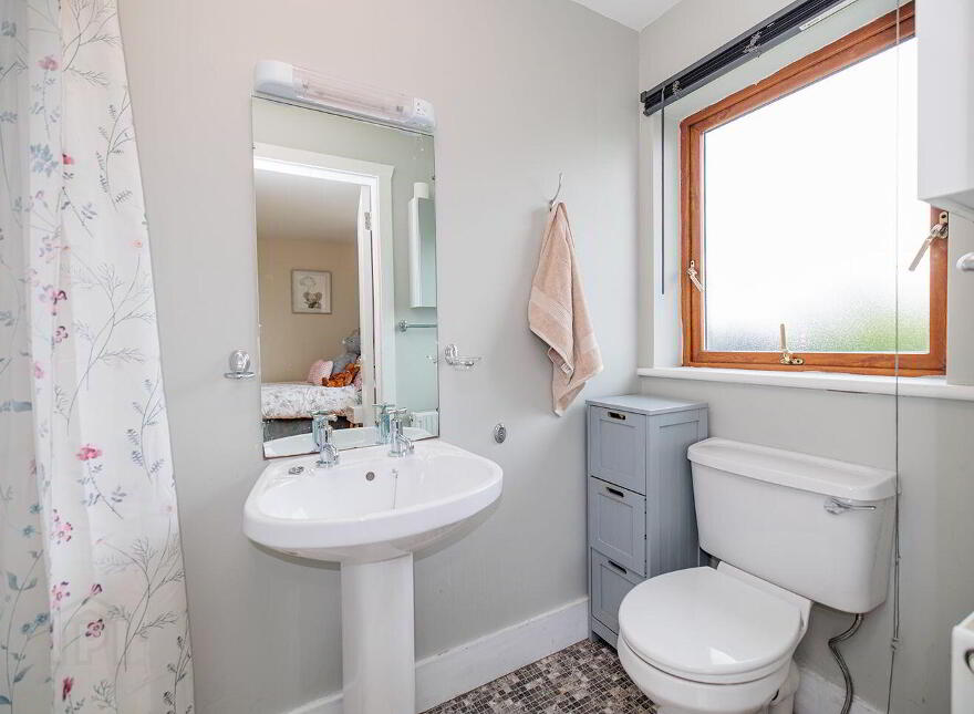 Glencoum, Goresbridge, R95PR92