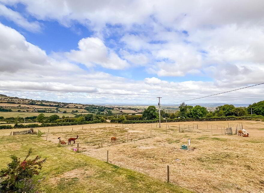 Glencoum, Goresbridge, R95PR92