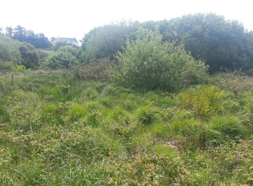 Ref, 560 Cloon, Ballinskelligs