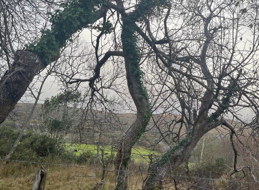 Ref, 1090 Site At Brackaharagh, Caherdaniel