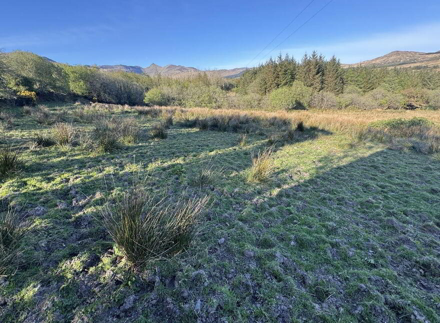 Lands, & Ruin, Ardsheelhane, Sneem
