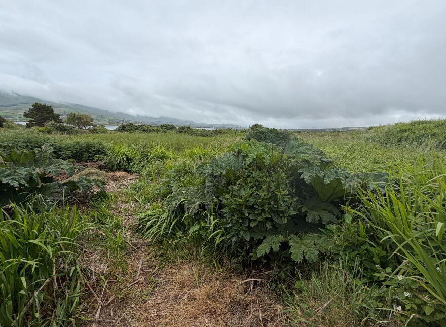 Ballyhearny Cottage, Ballyhearny Lower, Valentia Island, V23D893