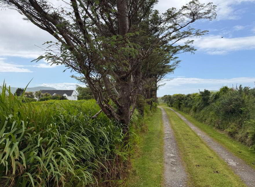 Ballyhearny Cottage, Ballyhearny Lower, Valentia Island, V23D893