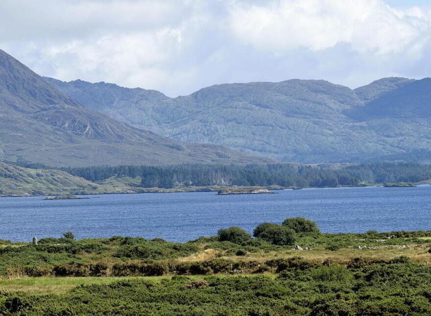 Beenbane, Waterville, V23F653