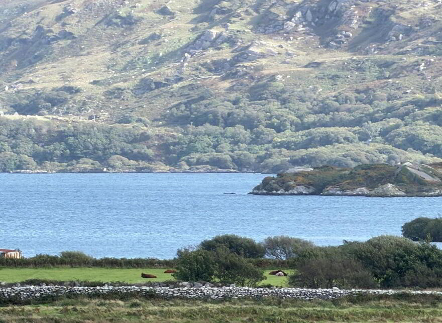 Beenbane, Waterville, V23F653