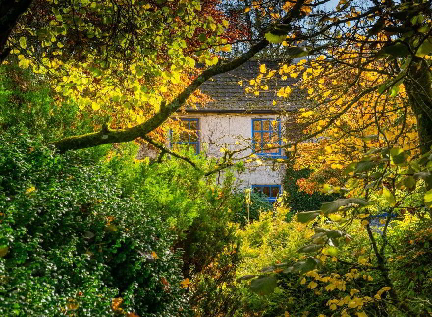 Mill House, New Mill, Mountmellick, R32C1X8