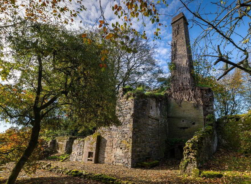 Mill House, New Mill, Mountmellick, R32C1X8