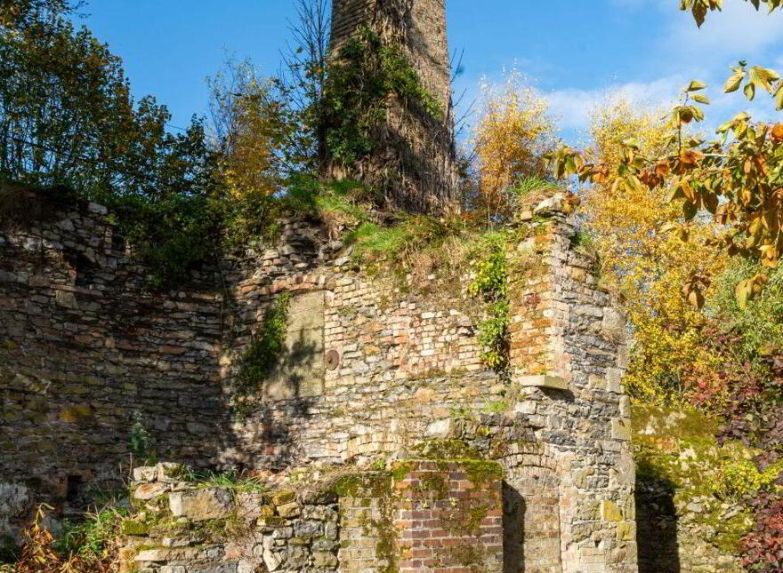 Mill House, New Mill, Mountmellick, R32C1X8