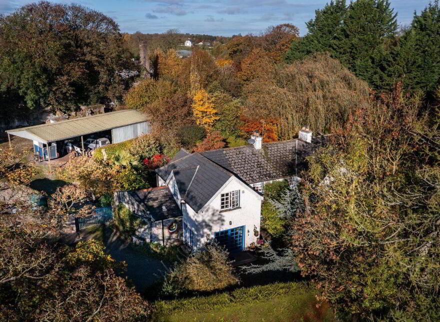 Mill House, New Mill, Mountmellick, R32C1X8