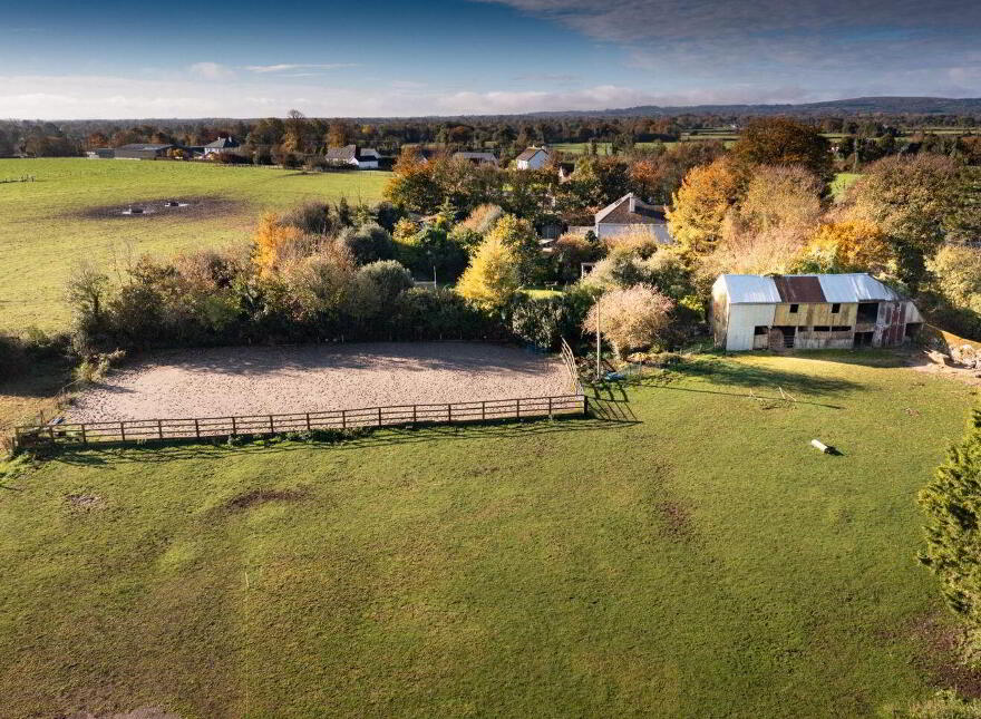 Mill House, New Mill, Mountmellick, R32C1X8