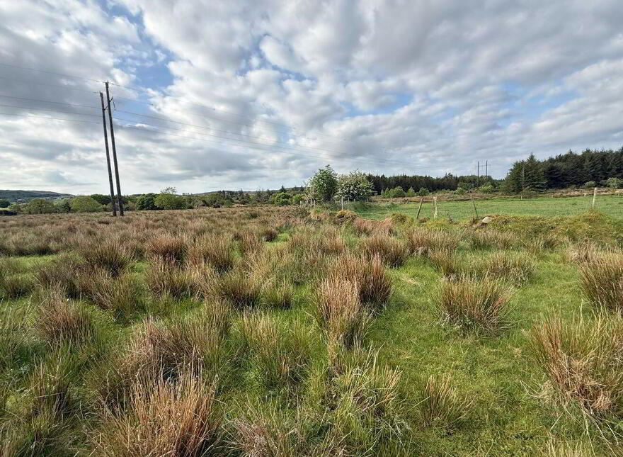 Tullyard, Glenties