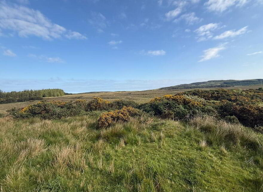 Tullyard, Glenties