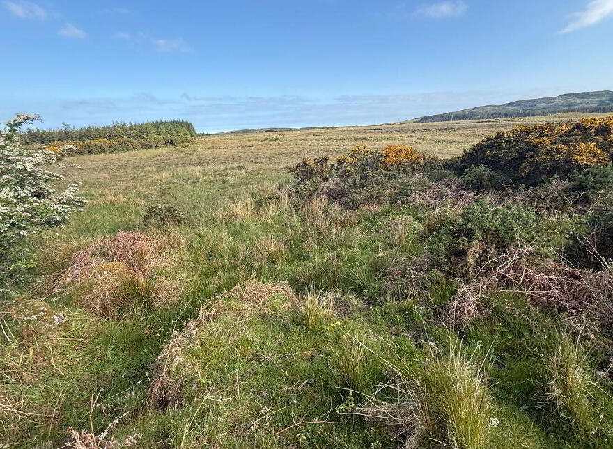 Tullyard, Glenties