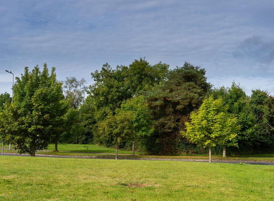 3 Ard Branagh, Portlaoise, R32DF2K