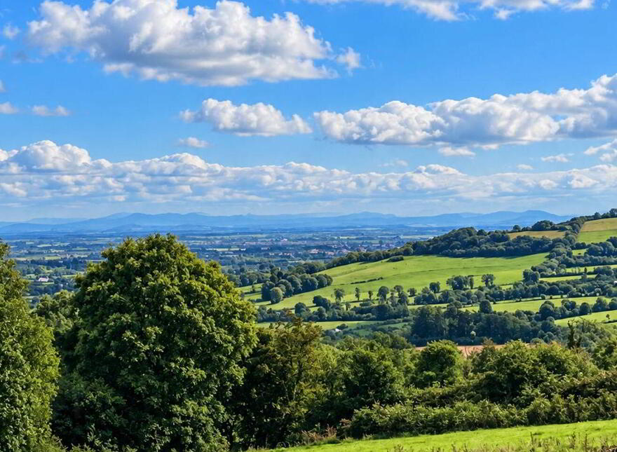 Boley, Wolfhill