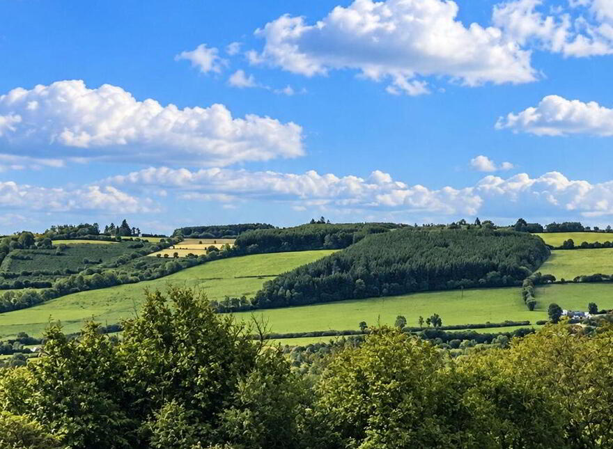 Boley, Wolfhill
