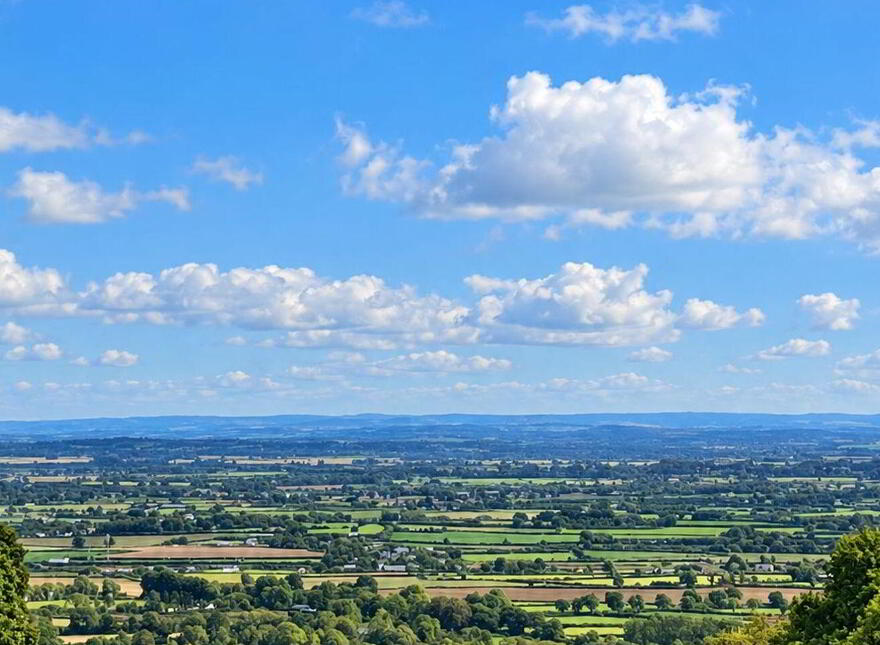 Boley, Wolfhill