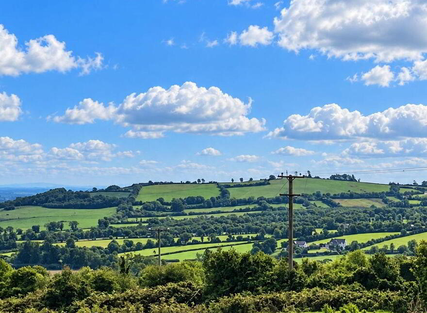 Boley, Wolfhill