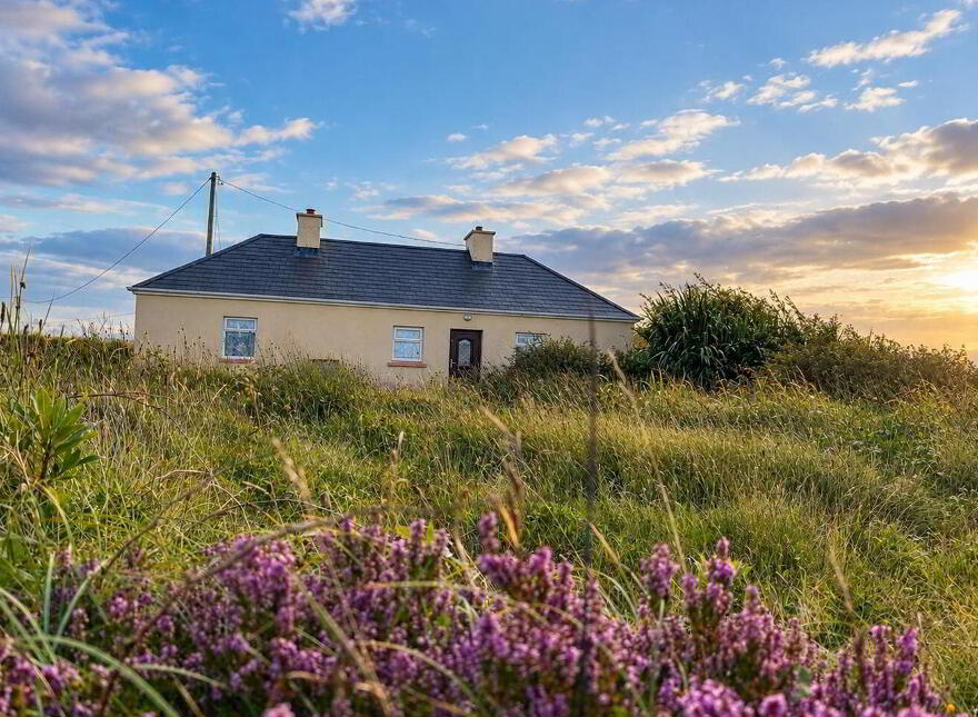 Cottage, And 16 Acres In Muingaroon, Knocknalower, Knocknalower, F26V562