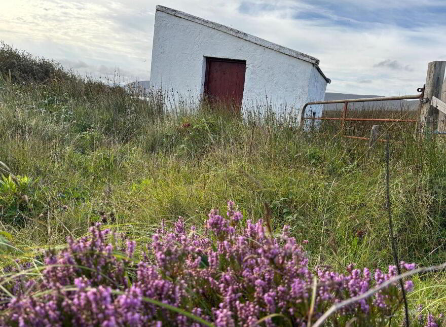 Cottage, And 16 Acres In Muingaroon, Knocknalower, Knocknalower, F26V562