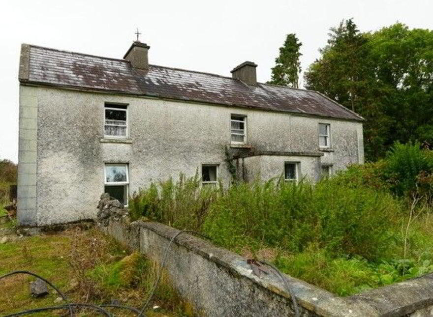 Ballyfa, New Inn, Ballinasloe, H53AR23