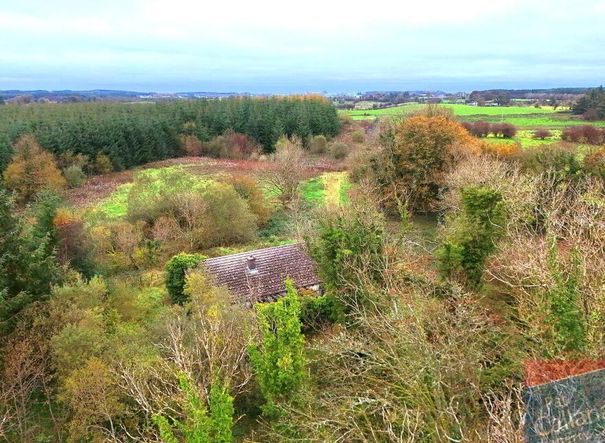 Woodlawn, New Inn, Ballinasloe