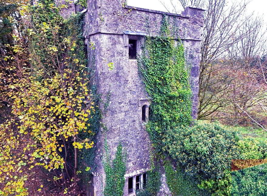 Woodlawn, New Inn, Ballinasloe