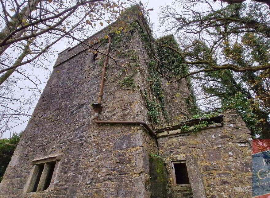 Woodlawn, New Inn, Ballinasloe