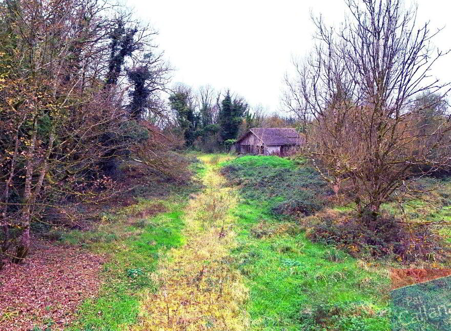 Woodlawn, New Inn, Ballinasloe
