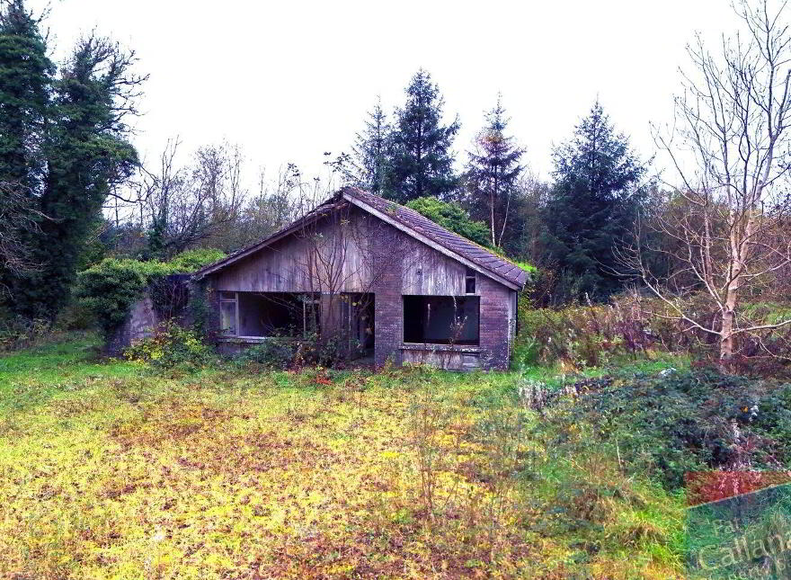 Woodlawn, New Inn, Ballinasloe