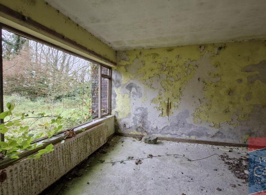 Woodlawn, New Inn, Ballinasloe