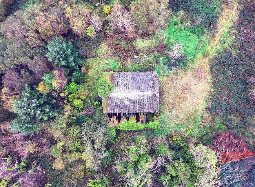 Woodlawn, New Inn, Ballinasloe