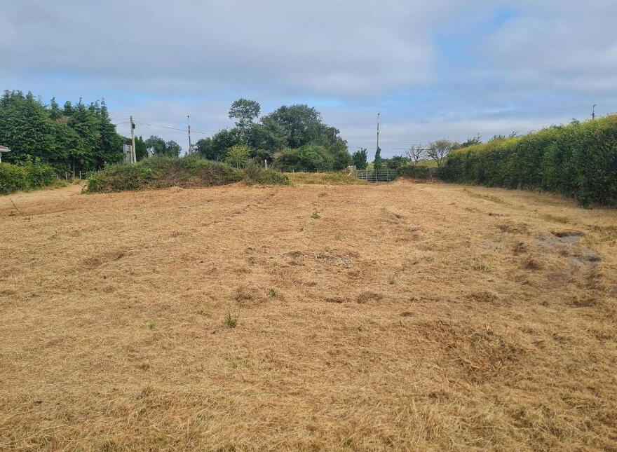 Mackney, Ballinasloe